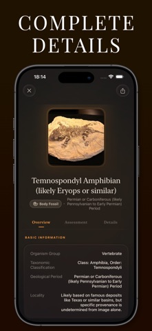 Fossil Scanner Screenshot 2 of 3