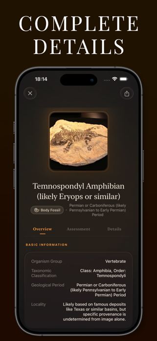 Fossil Scanner Screenshot 2 of 3