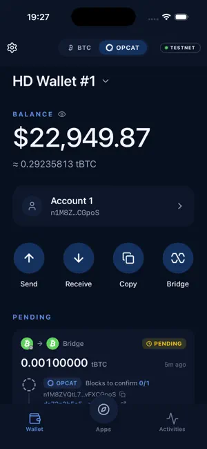 Catena Wallet: OP_CAT Bitcoin screenshot 3