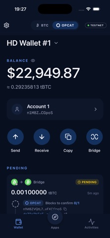 Catena Wallet: OP_CAT Bitcoin screenshot