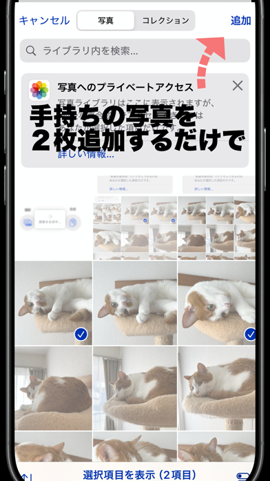 前後写真合成 iPhone screenshot