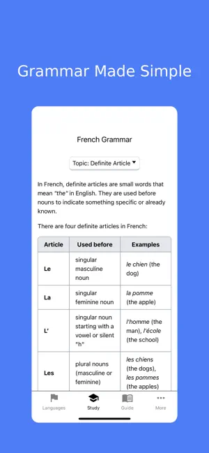 LingoCommand screenshot 3