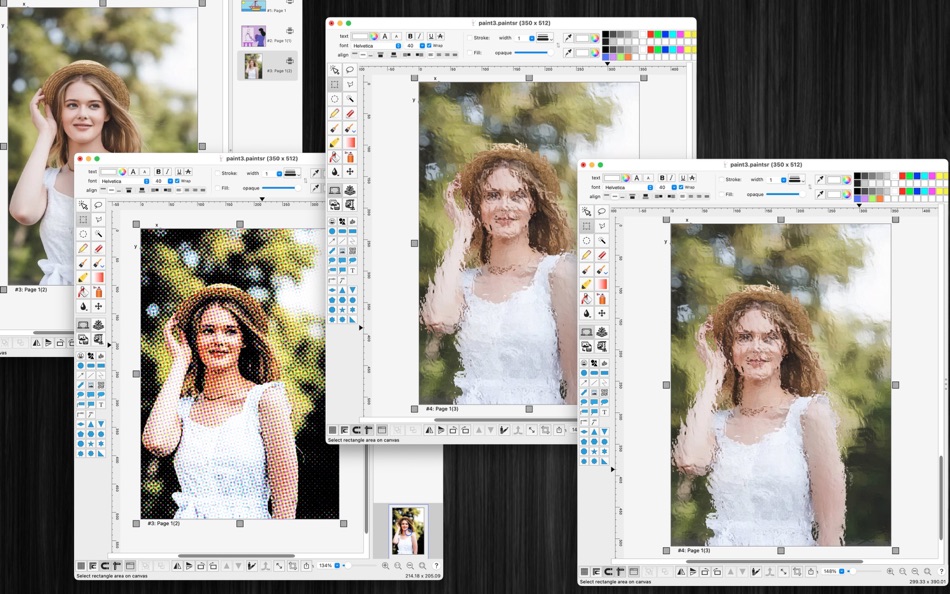 #5. Paint raster (macOS) Podle: Tien Thinh Vu