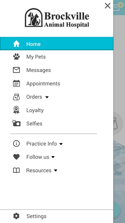 Brockville Vet screenshot-4