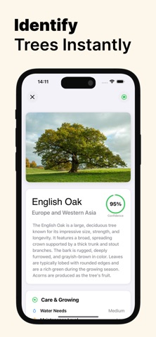 Tree Identifier - Treefy Screenshot 1 of 3