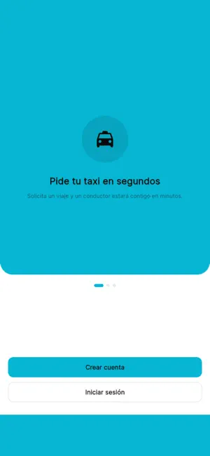 NetCar screenshot 1