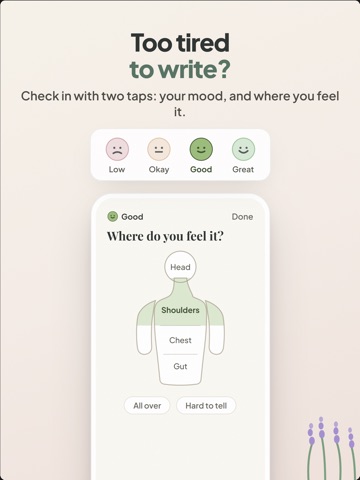 Calmplot: Private AI Journal iPad screenshot