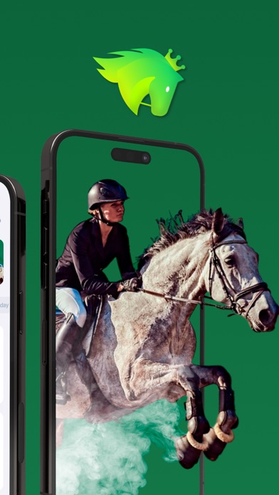 Fantasy Horse Race Screenshot