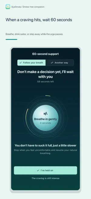 ByeSmoke screenshot 3