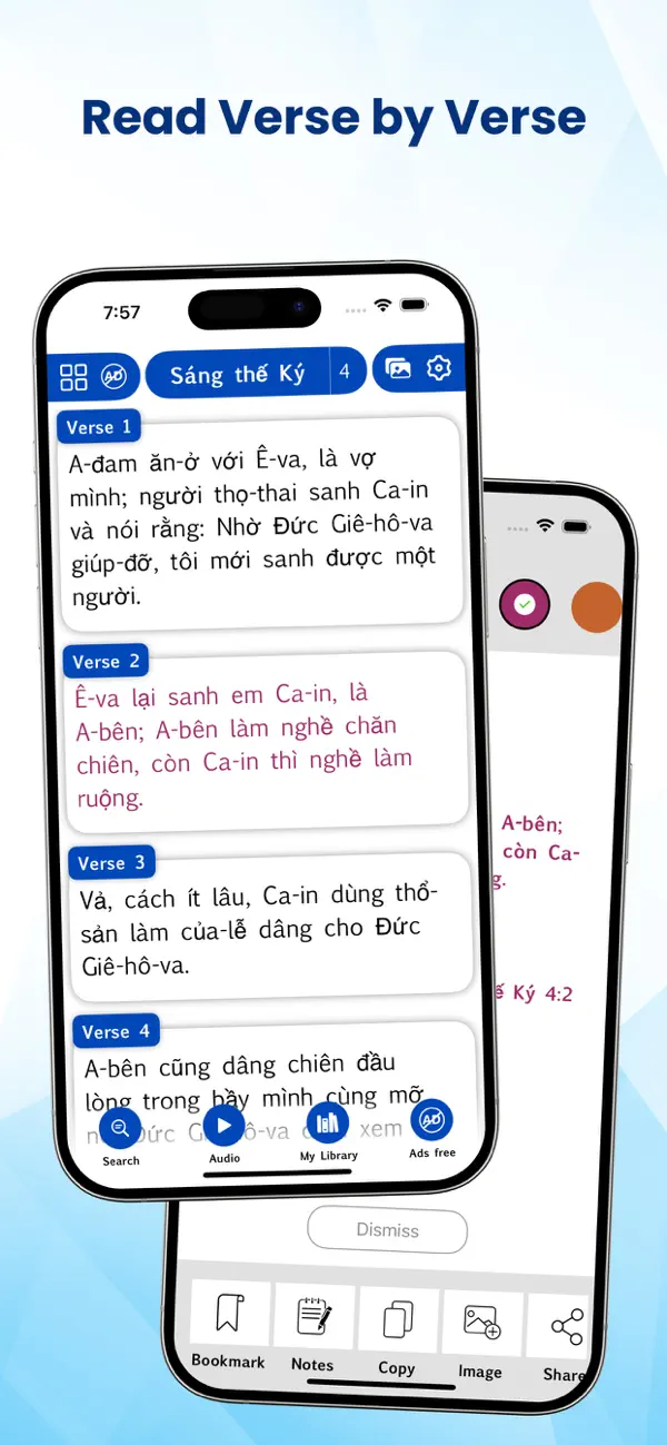 Screenshot #1 pour Vietnamese Bible
