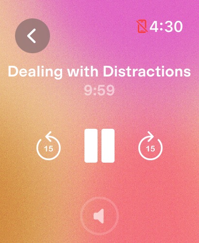 Apple Watch screenshot