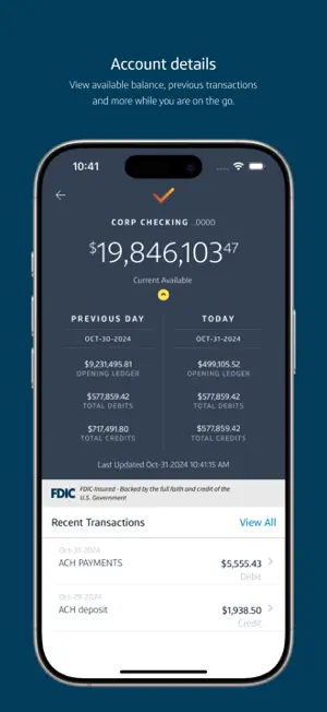 Capital One Intellix® Mobile screenshot 2