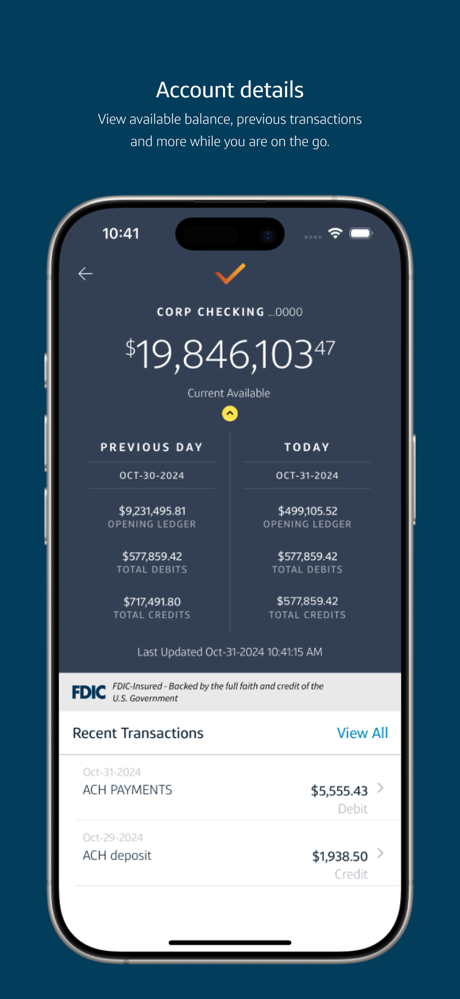 Capital One Intellix® Mobile screenshot 2