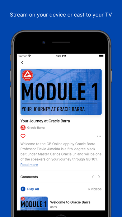 Gracie Barra Online Screenshot