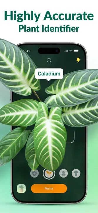 Plantum: Screenshot 1 von 10