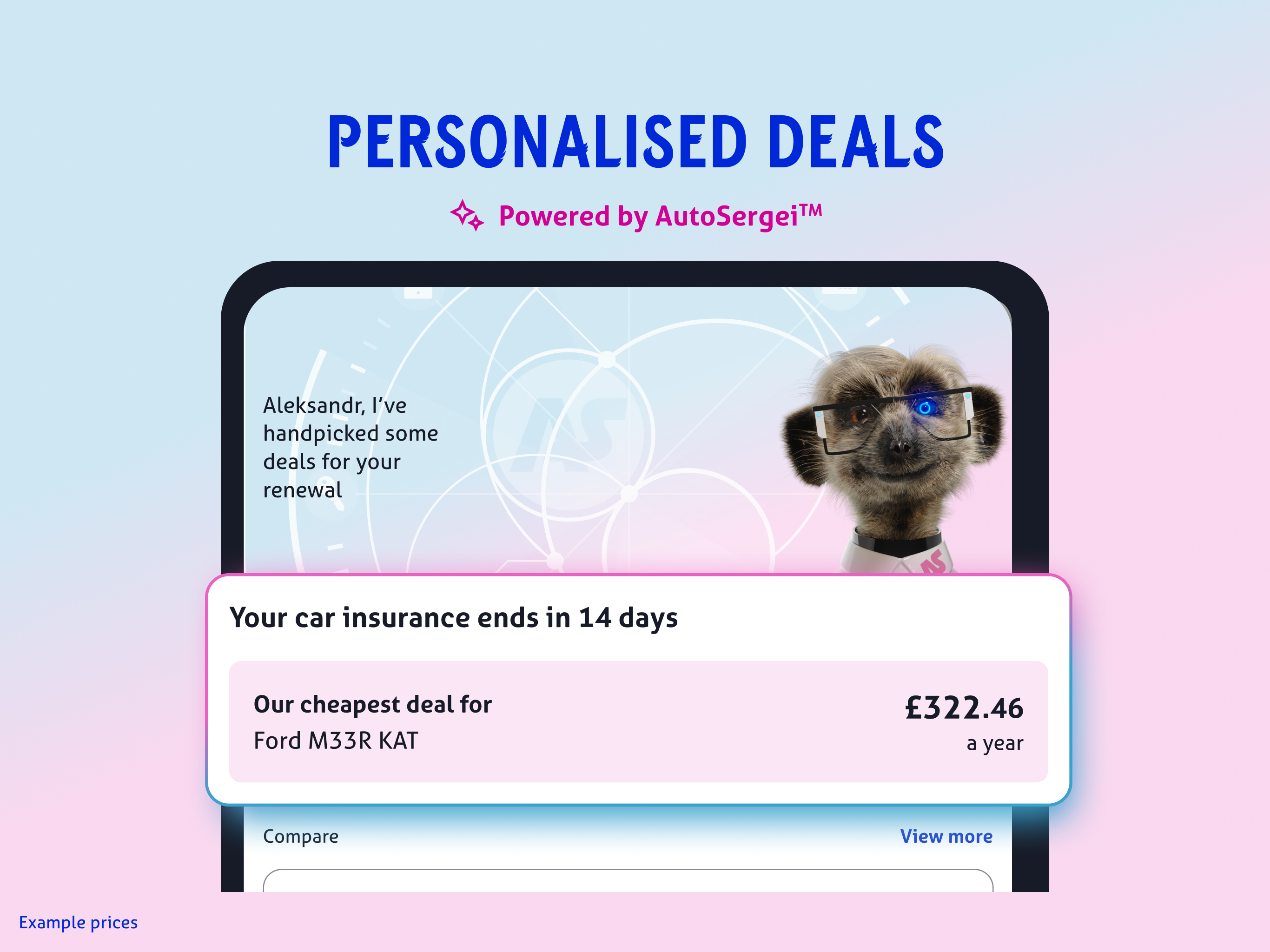 Compare the Market: Meerkat