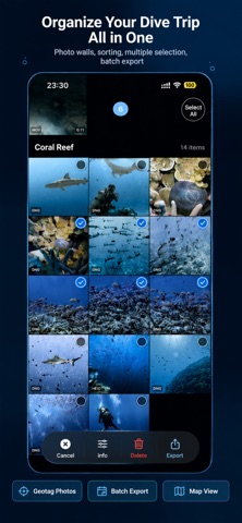 DiveTone Screenshot 9 of 10