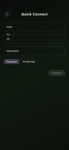 DR-Terminal screenshot