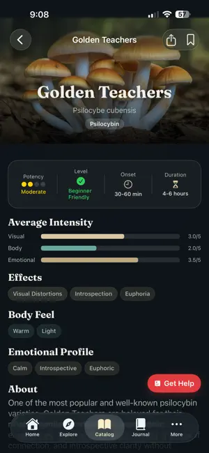 TripTalk — Safe Journeys screenshot 4