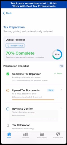 begoWise: Tax Filing & Advice screenshot