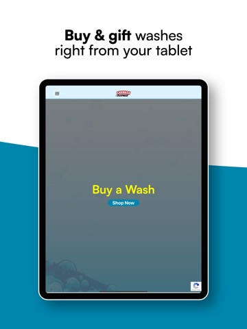 Carwash Express iPad screenshot