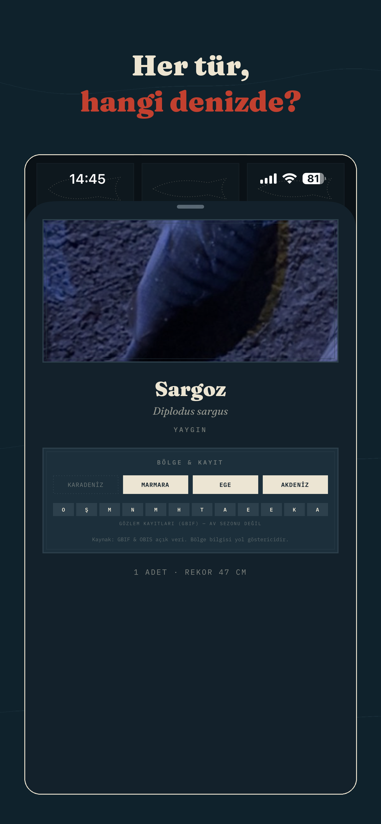 fishigo. screenshot 2