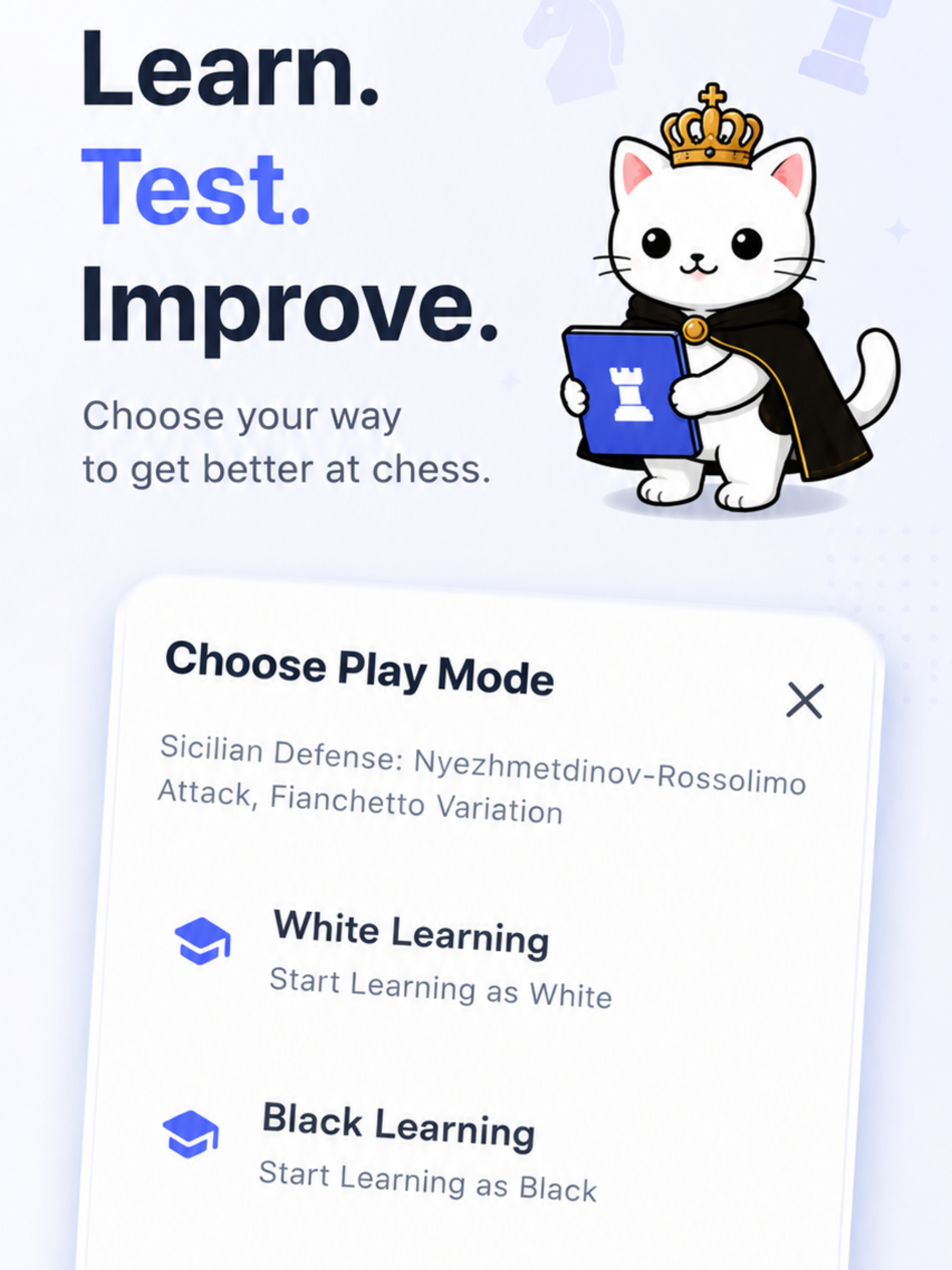 Learn Chess Openings with Cat