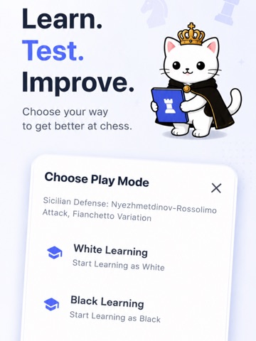 Learn Chess Openings with Cat iPad screenshot
