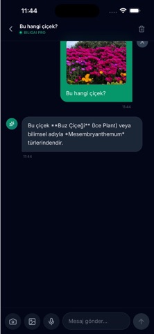 BiligAI screenshot