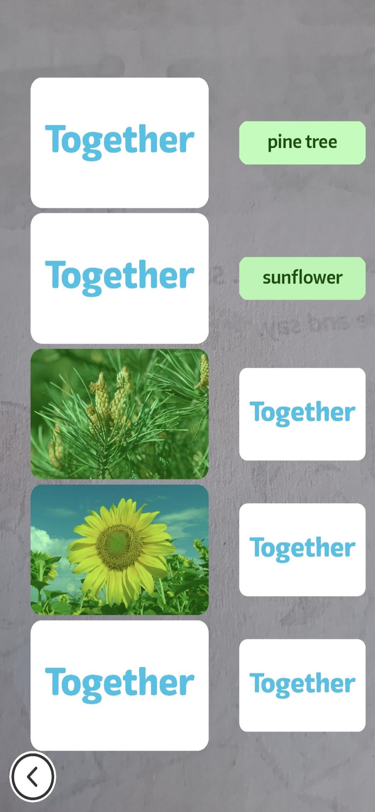 Screenshot 3 of Together klasa 7-8