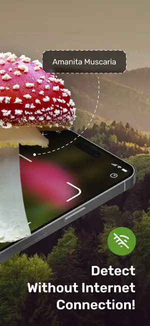 Mushroom Picture Identifier screenshot 2