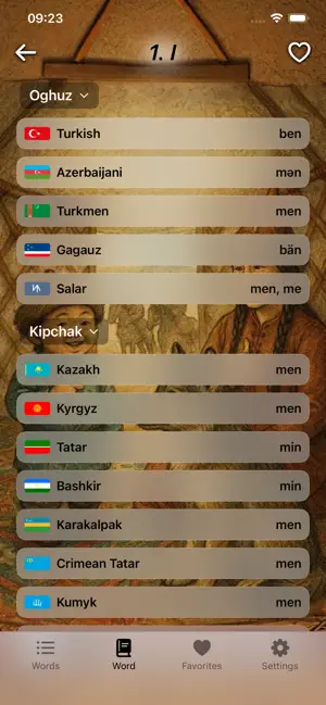 Türki screenshot 2