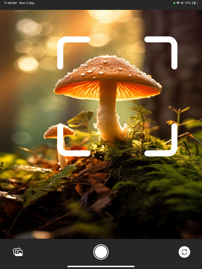 Mushroom IdentifierMushroomID