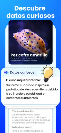 Captura de pantalla de Identificar Peces Por Foto en iPhone 3