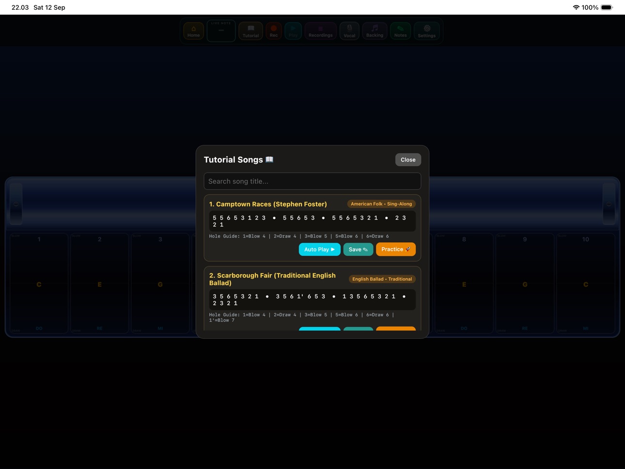 Screenshot 9 of Harmonica Pocket