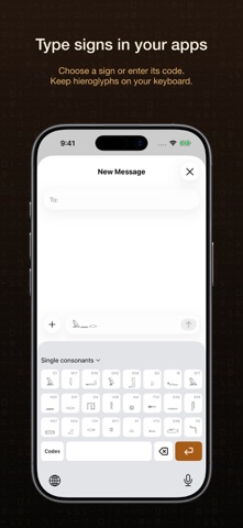 Hiero Pro: Egyptian Signs screenshot 5