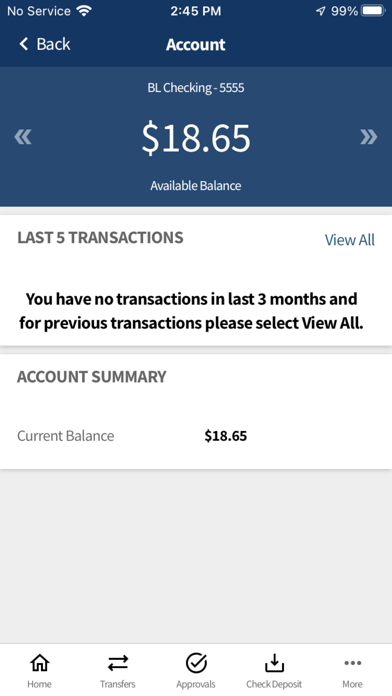 PrimeSouth Bank GA Business Screenshot