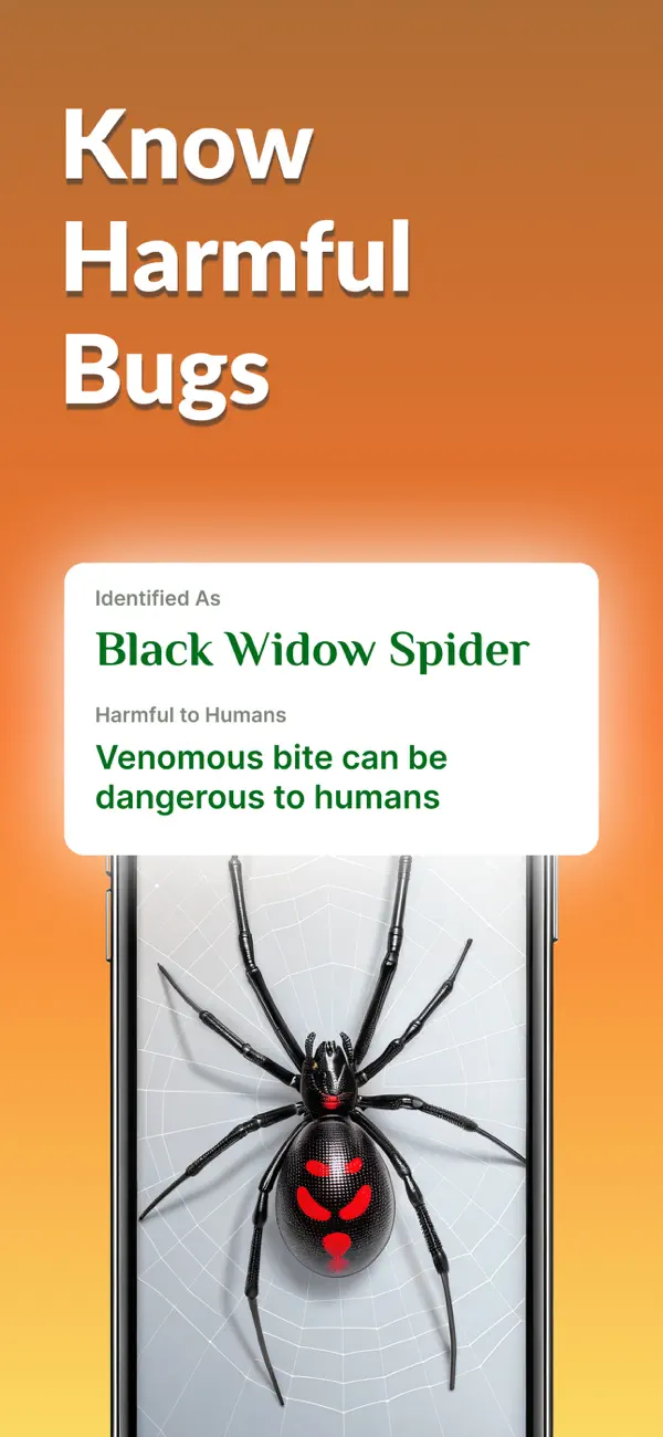 #3. Bug Identifier: Spider (iOS) By: FAMO Connect LLC