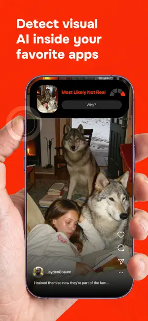 Ruse AI Detector screenshot 2