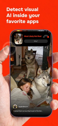 Ruse AI Detector Screenshot 2 of 6