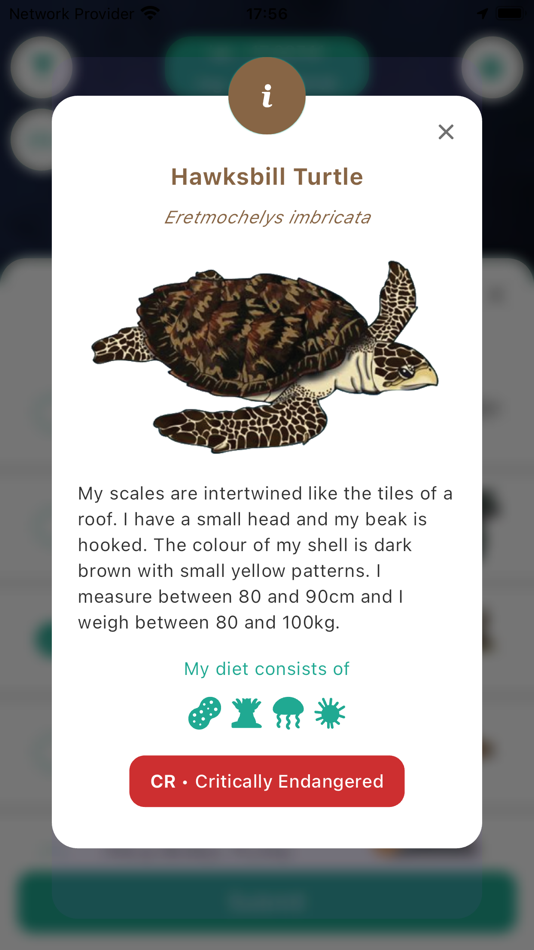 #6. We Spot Turtles! (iOS) 由: alt+1