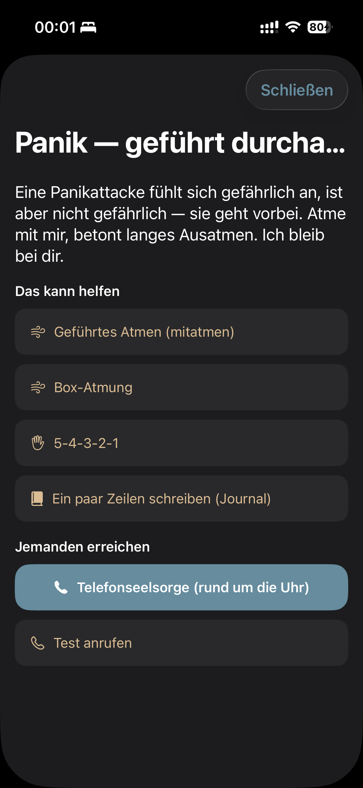 Inneres Echo screenshot 9