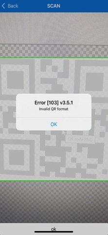 NIC e-Invoice Verification screenshot