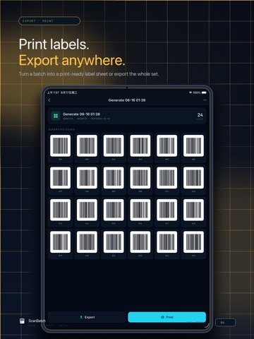 ScanBatch · QR Code Scanner iPad screenshot