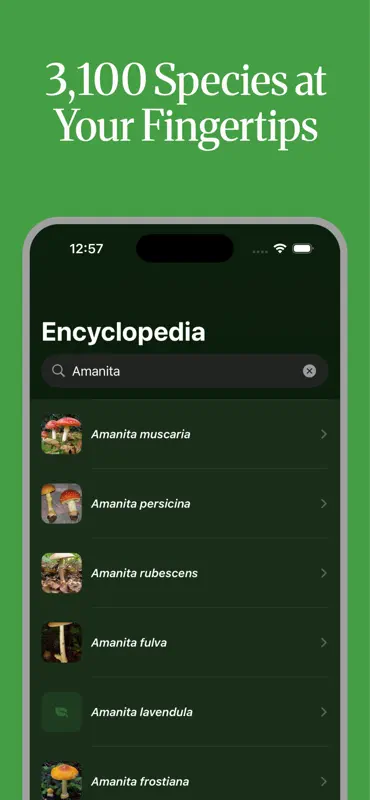 Shroomify: Mushroom ID screenshot 4 of 5