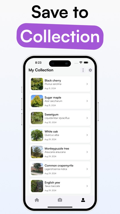 TreeID - Tree Identifier screenshot-3