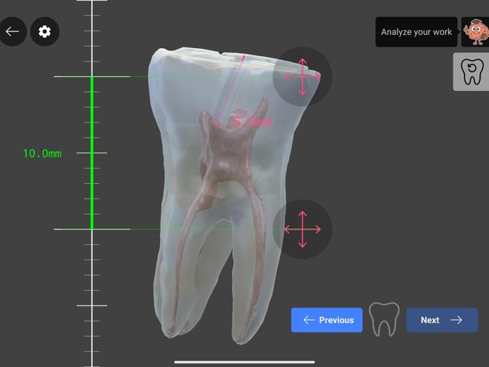 Dental InsightMaster