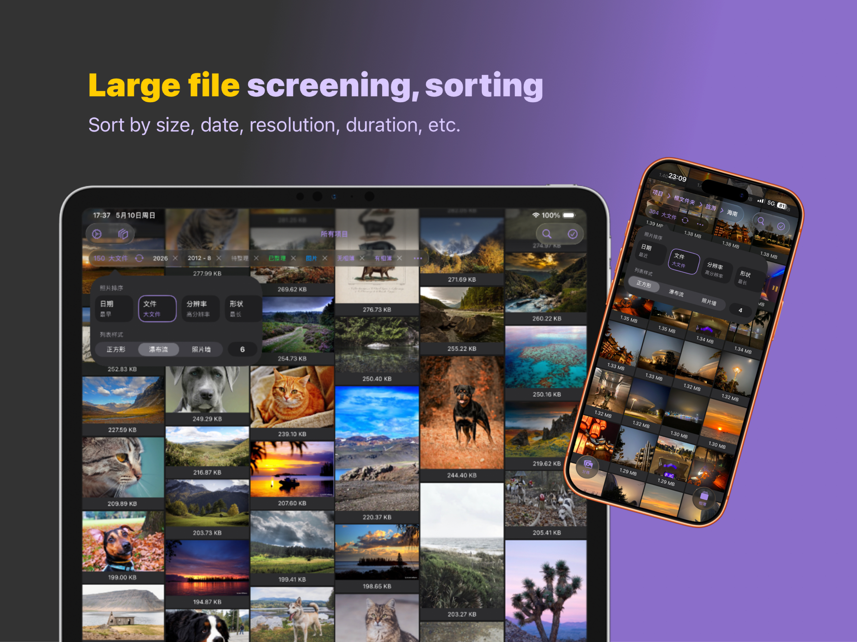 Sorter: Photo Manager Pro screenshot 11