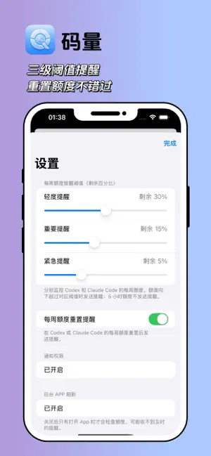 码量：AI 编程额度 screenshot 2