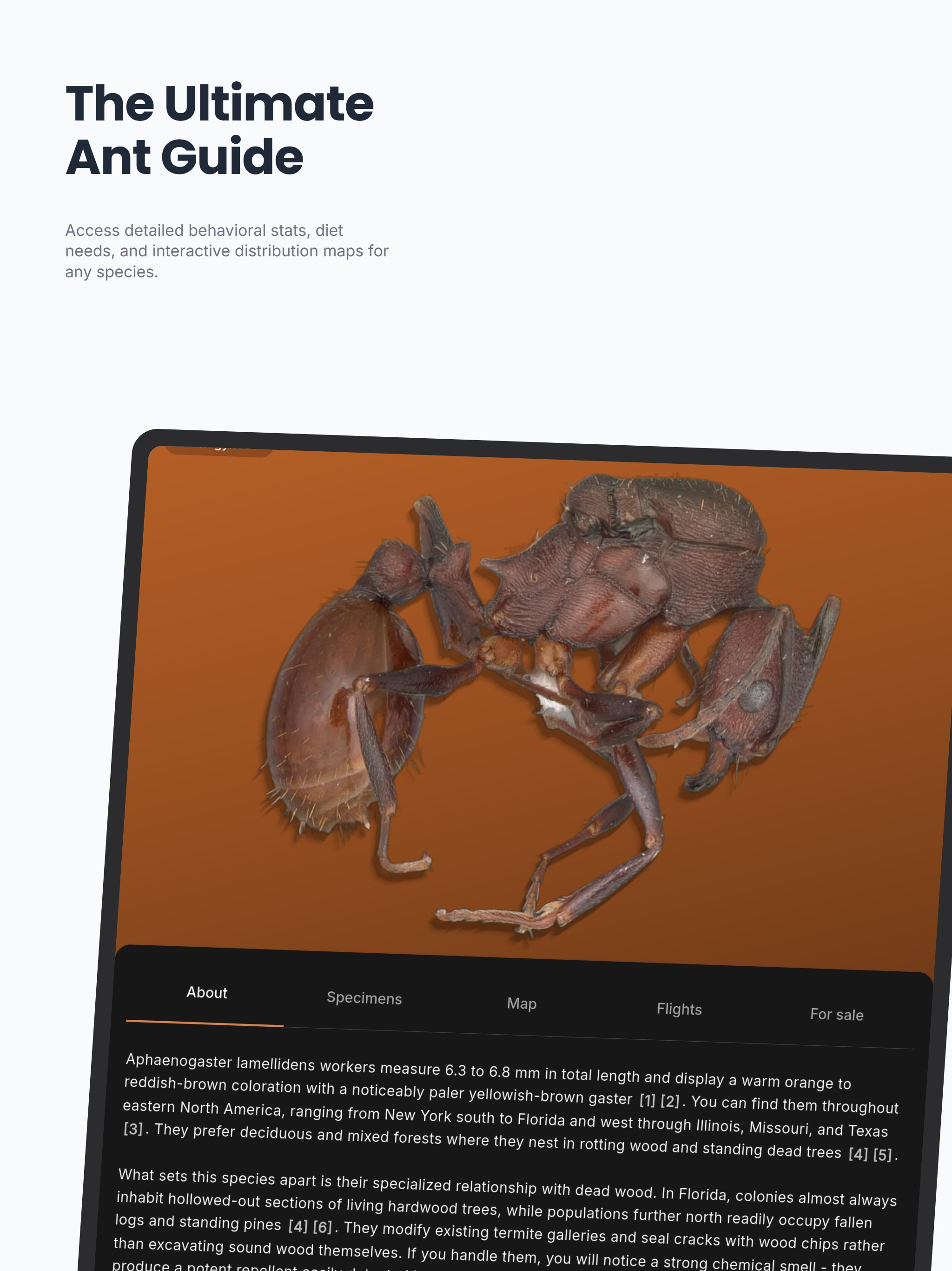 AntScout: Ant ID & Flights screenshot 7
